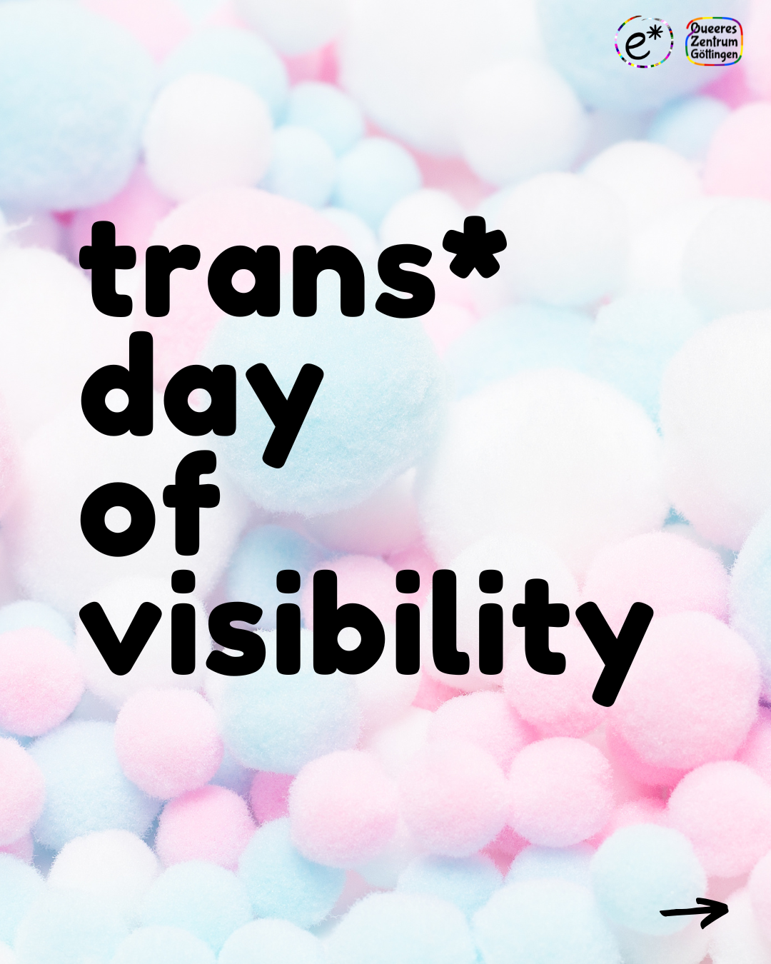 Du betrachtest gerade Trans* Day of Visibility